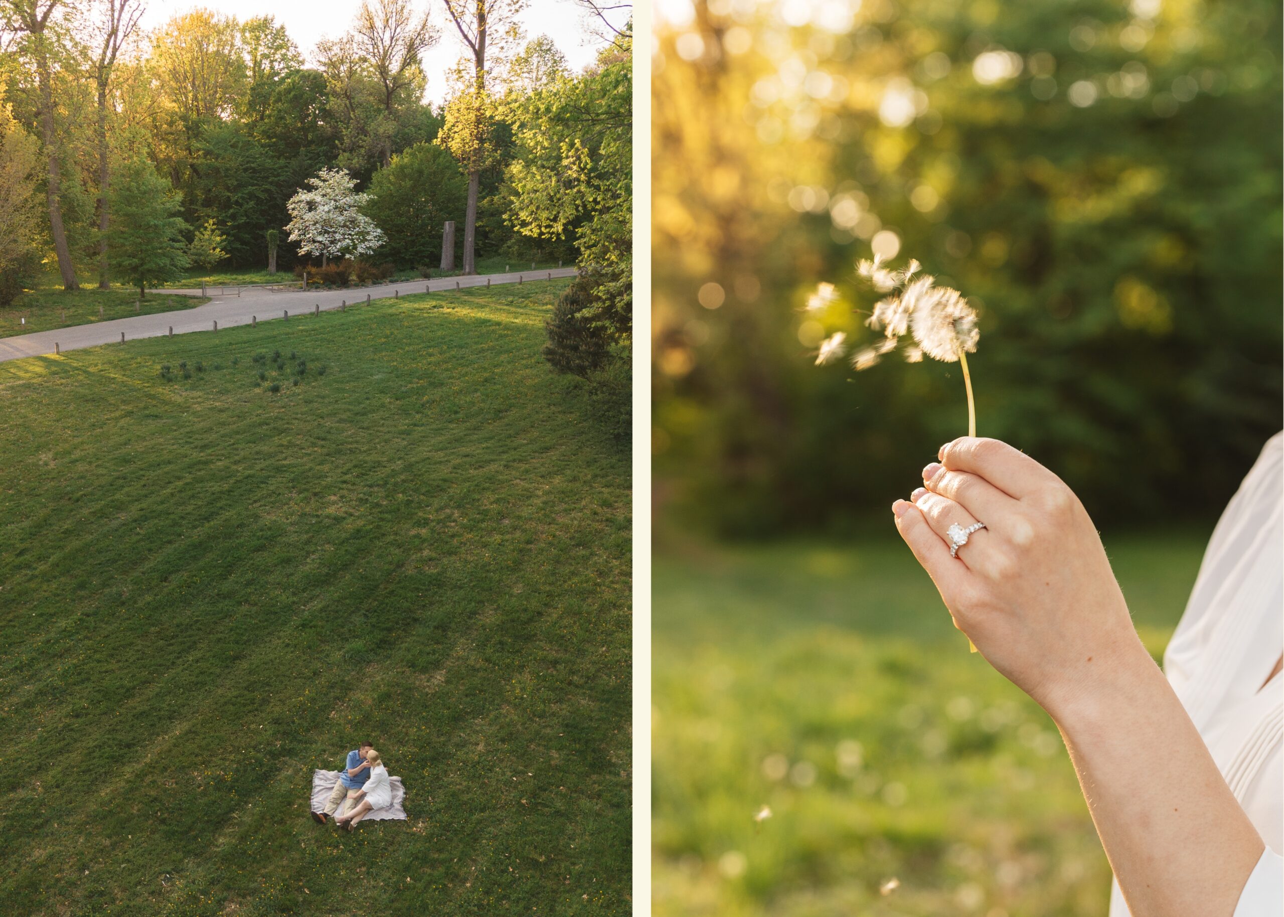 A couple poses together for their engagement photos at Awbury Arboretum. A drone captures them kissing over sunset. A hand with an engagement ring holds a dandelion in the wind. Taken by PA wedding photographer Madison Neumann Photography. 