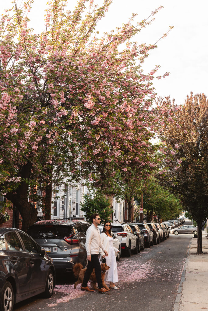An engaged couple walk together with their dog through their neighborhood in Spring Garden, Philadelphia. Blooming trees hang overhead. Taken by Philly wedding photographer Madison Neumann Photography. 