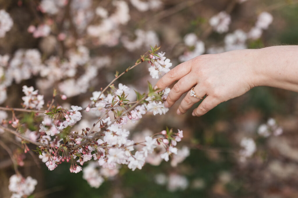 Brides left hand grazing the blossoms to show off her gorgeous engagement ring, photographed by Philadelphia and New Jersey based travel wedding photographer, Madison Neumann Photography.